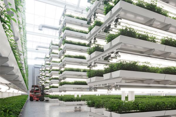 Grünpflanzen Lagerung. Foto: dra_schwartz