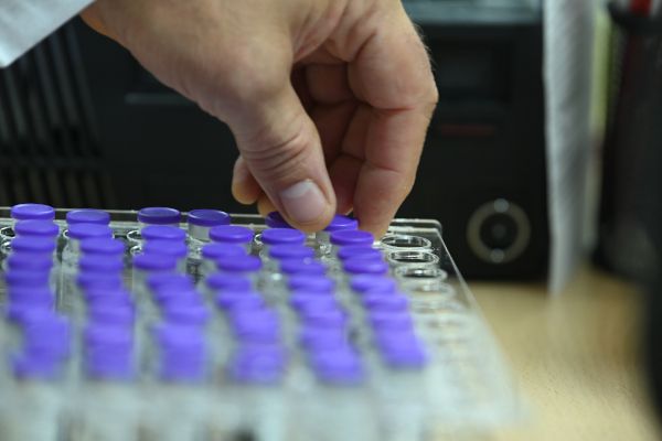 Ampullen mit Impfstoff