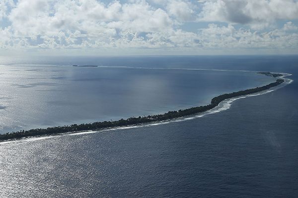 Pacific Islands Piebalgs