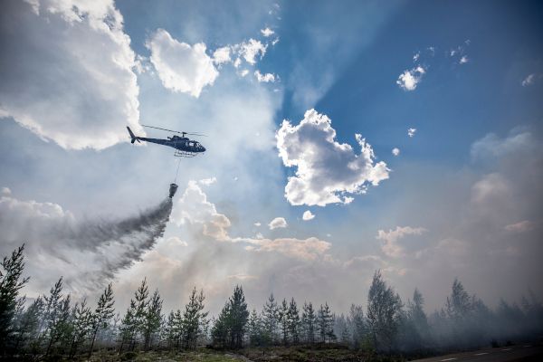 Ein Helikopter fliegt über einem Wald und verteilt Löschwasser