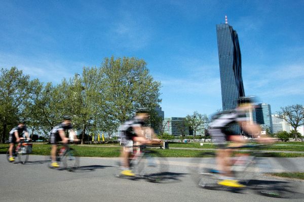 Vier Radfahrer fahren auf einem Fahrradweg bei Sonnenschein, das Bild ist leicht verzerrt dargestellt