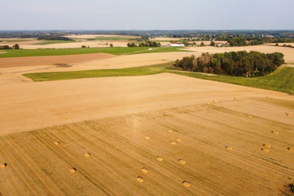 Luftaufnahme: Strohballen auf einem Feld