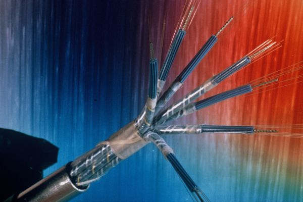 Glasfaserkabeln - Hintergrund des Bildes ist blau-rot