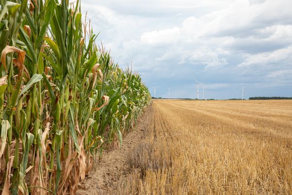 eu-aktuell-neuer-ausschuss-fuer-landwirtschaft-und-ernaehrung