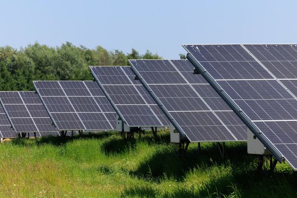 Solarpanele auf einer Wiese