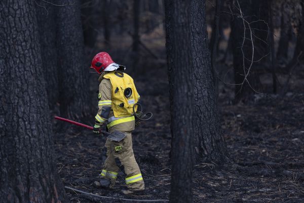 Feuerwehrmann im Wald