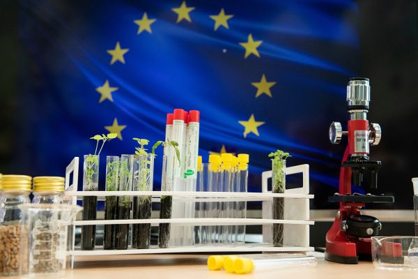 Pflanzen im Labortest