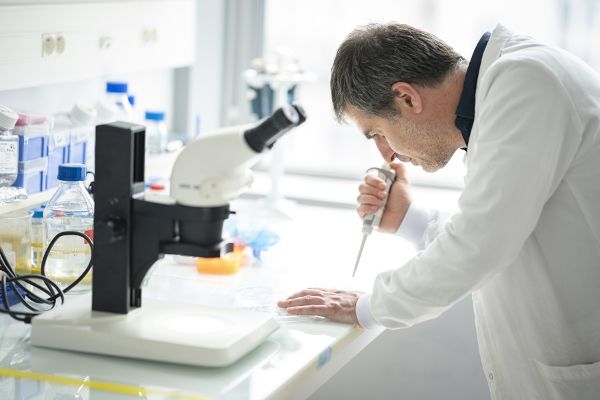 "ERC Starting Grants": 761 Millionen Euro für Europas Nachwuchsforschung