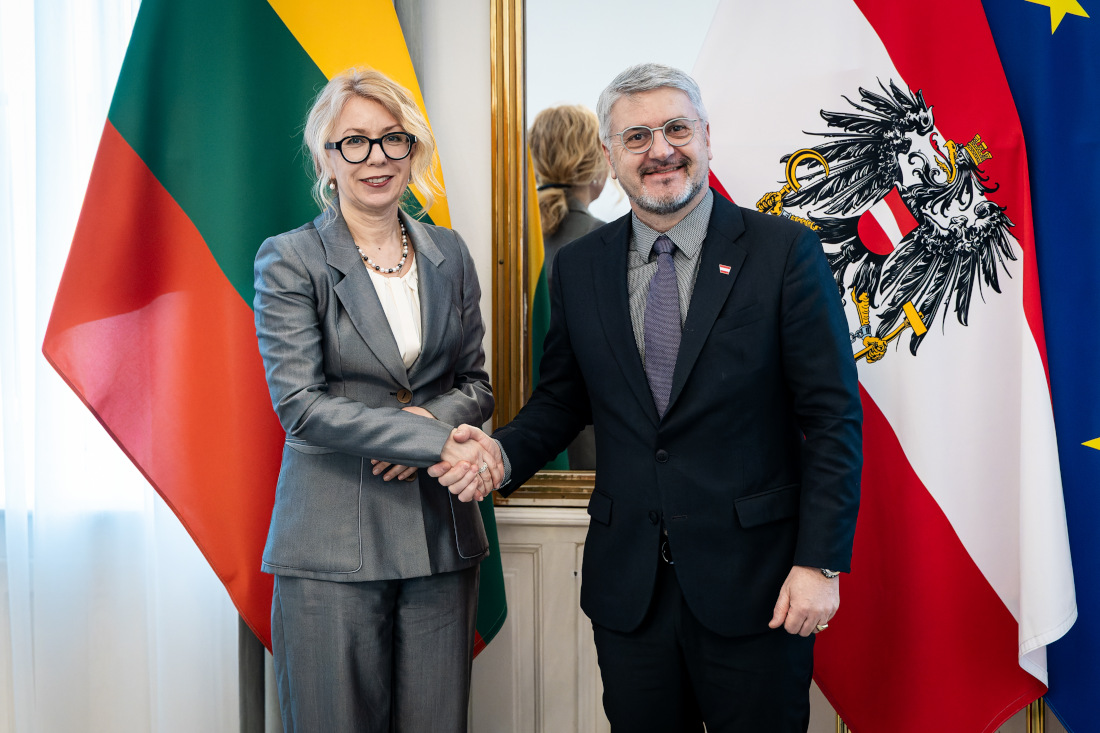 Der Nationale Sicherheitsberater Peter Vorhofer mit der Botschafterin Litauens in Österreich Lina Rukštelienė