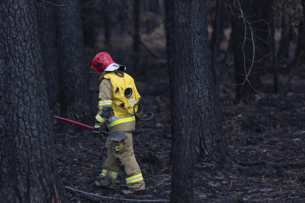 Feuerwehrmann geht durch abgebrannten Wald