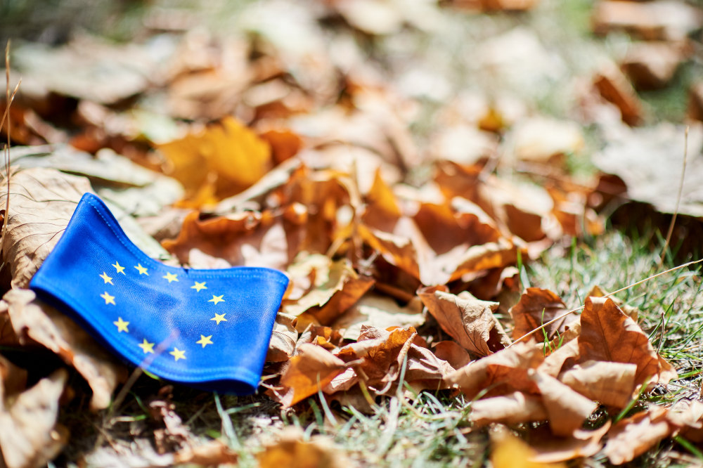 Herbstliche Blätter auf Gras mit der Europäischen Flagge
