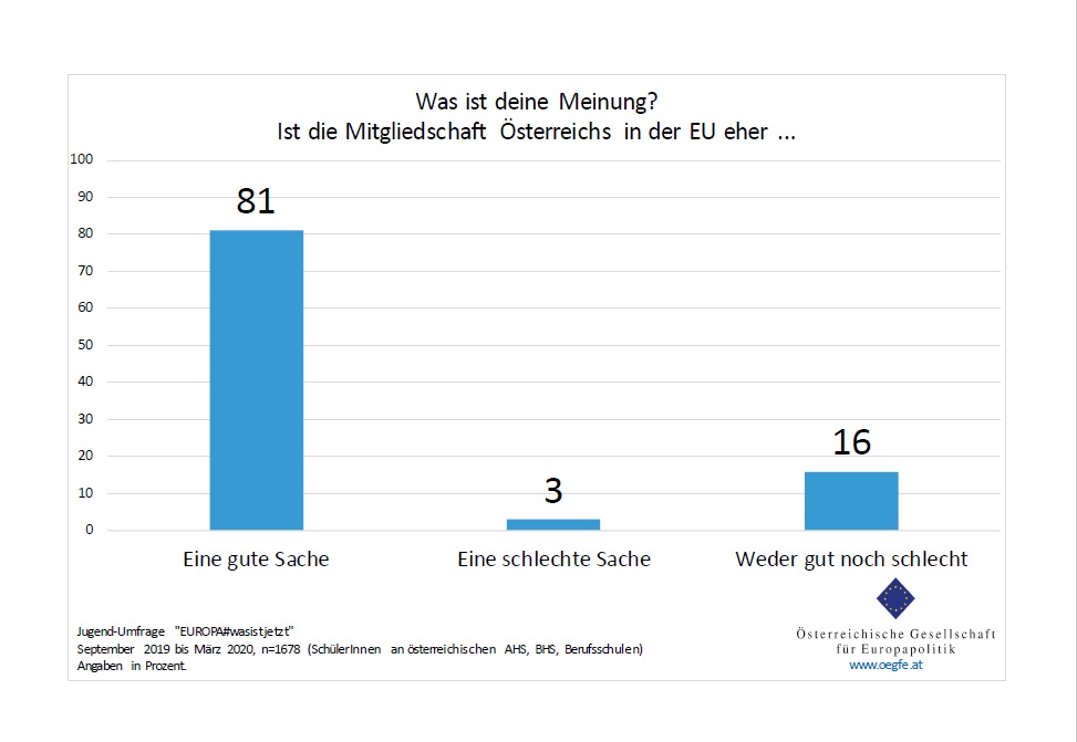 Screenshot - Grafik zur ÖGfE-Jugend-Umfrage