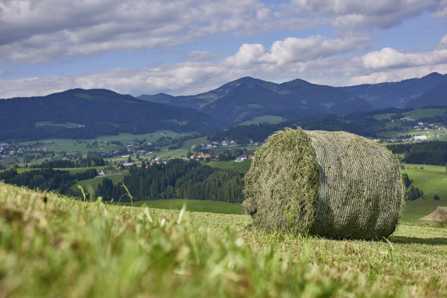 Ein Heuballen steh in einem Feld