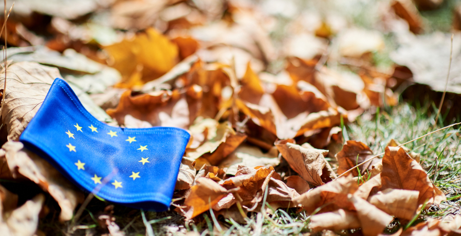 Herbstblätter mit EU-Flagge