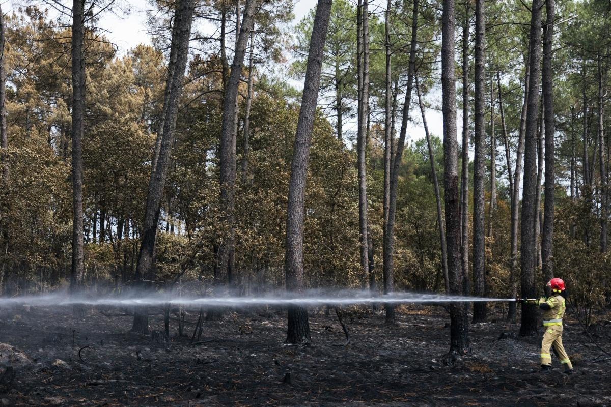 Ein Feuerwehrmann beim Löschen in einem abgebrannten Wald